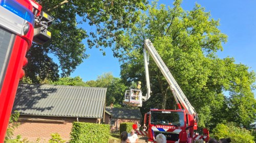 kat-in-nood?-brandweer-markelo-en-rijssen-zet-hoogwerker-in-–-poes-kiest-toch-voor-eigen-route