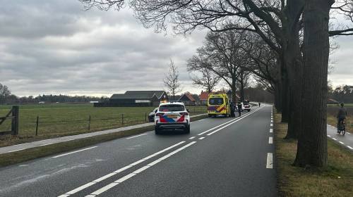 Automobilist onwel en botst tegen boom op N741 bij Bornerbroek