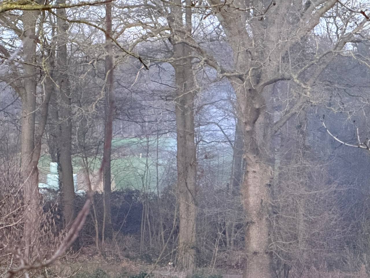 Rookmelding A1 Enter