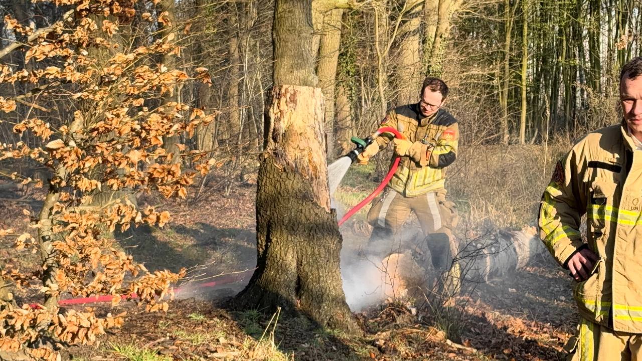 Boombrand Molendijk Noord Rijssen