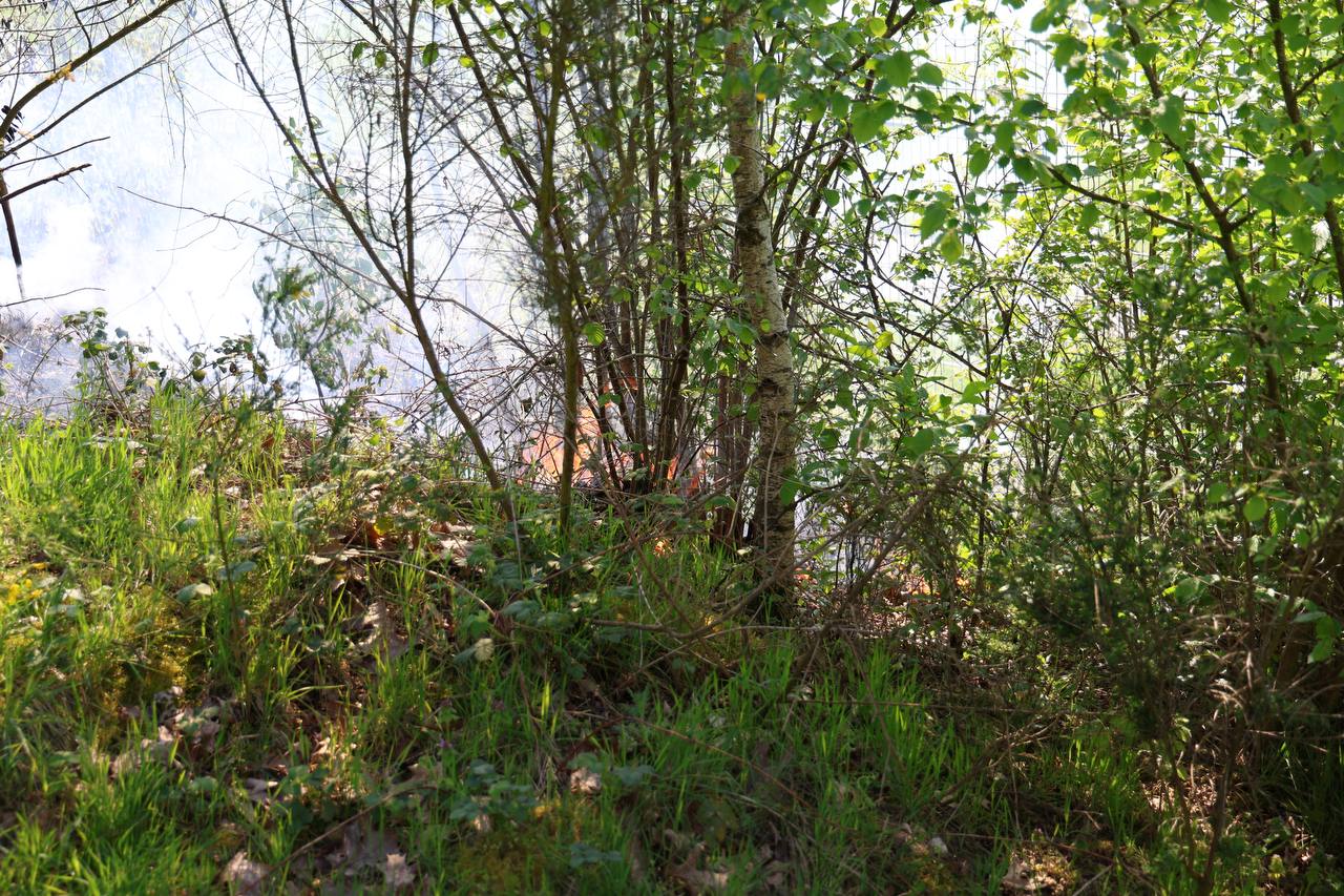 brand Excelsior’31 Rijssen