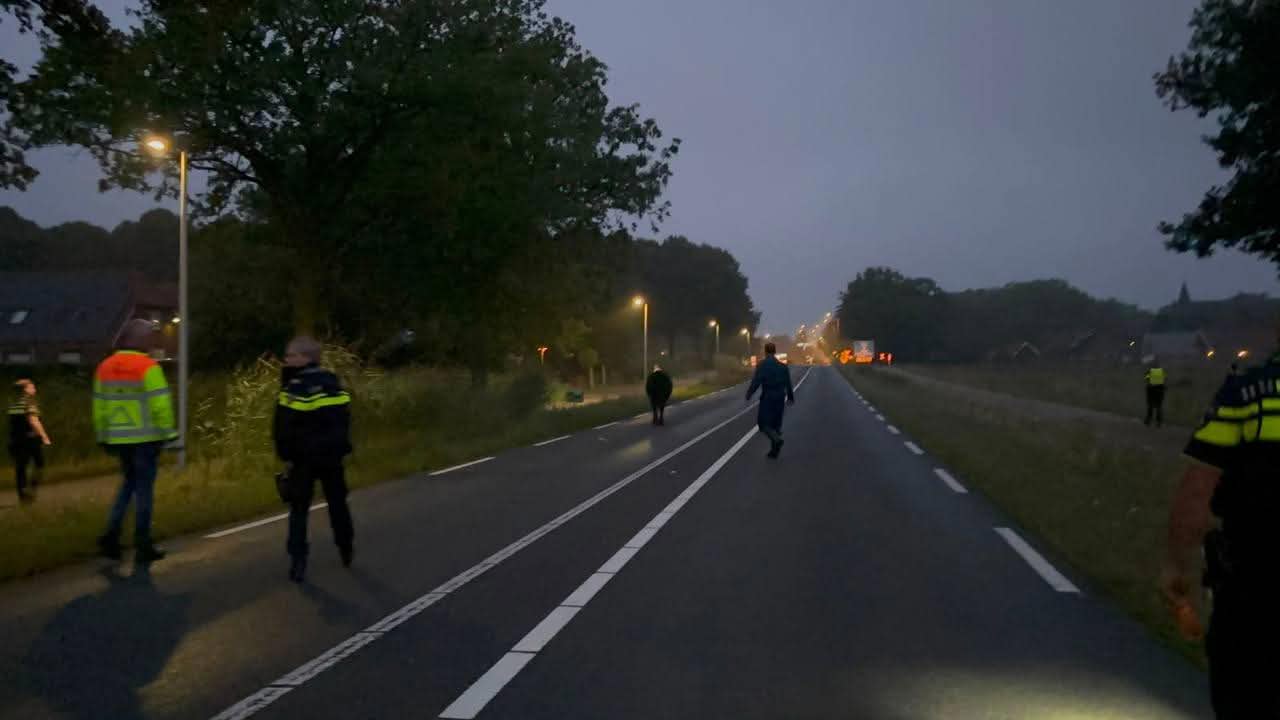 koe aangereden Zenderen